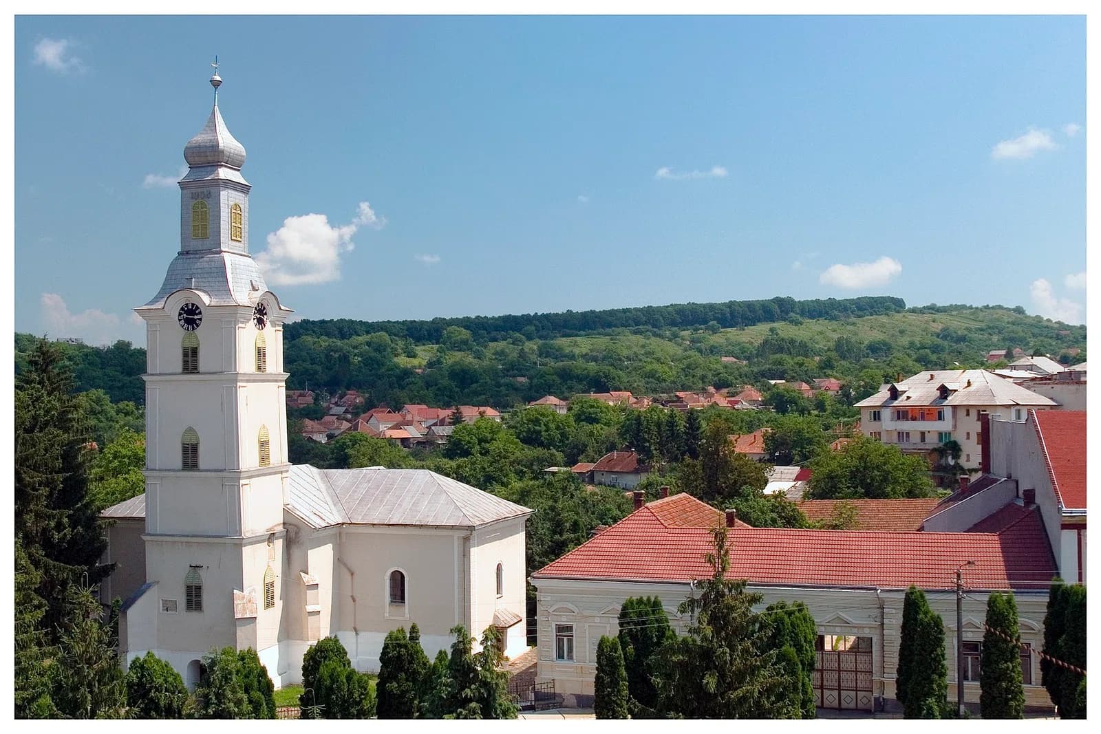 Cehu Silvaniei