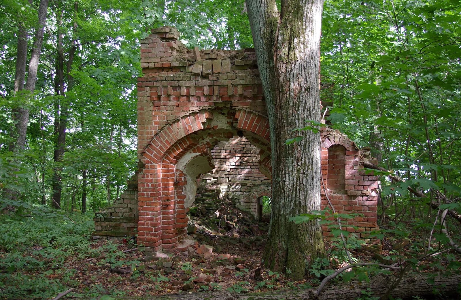 Rydzówka