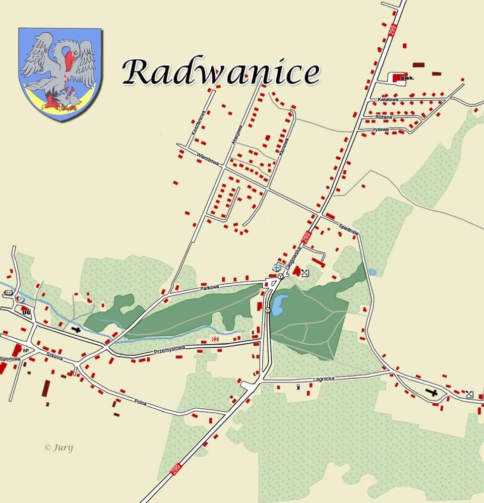 Radwanice