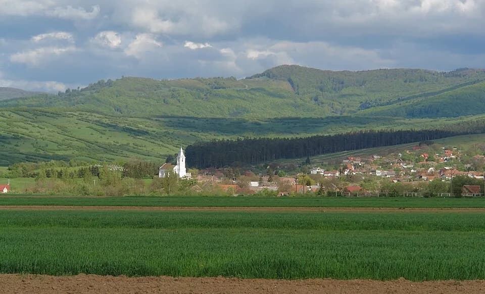Purcăreni