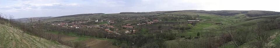 Gâmbuț