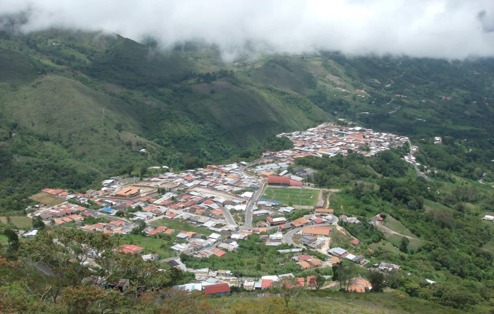 Queniquea