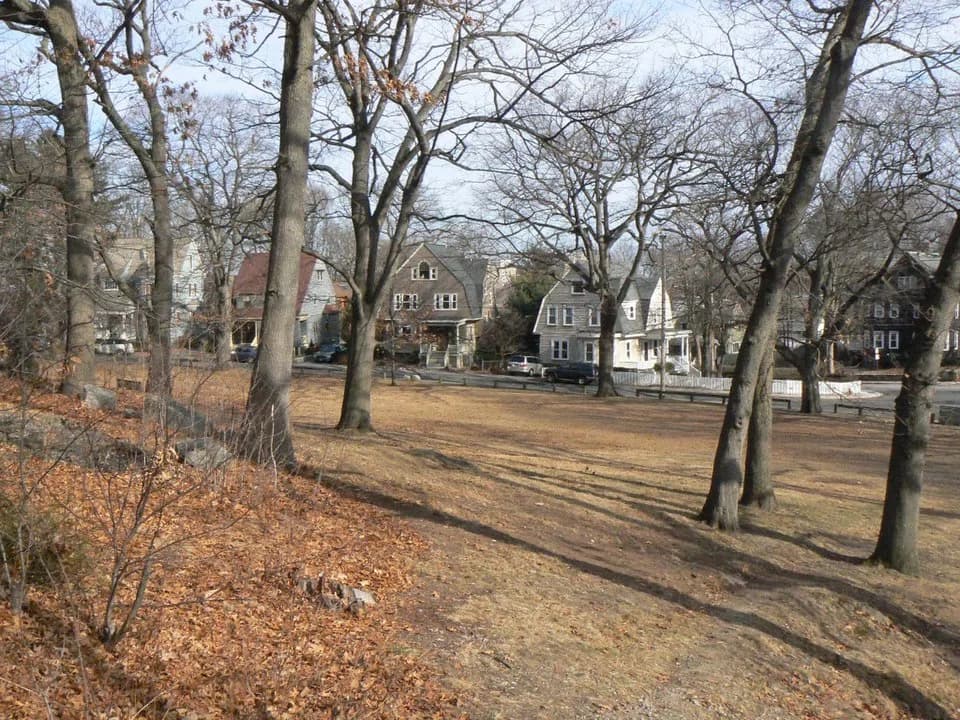 Savin Hill