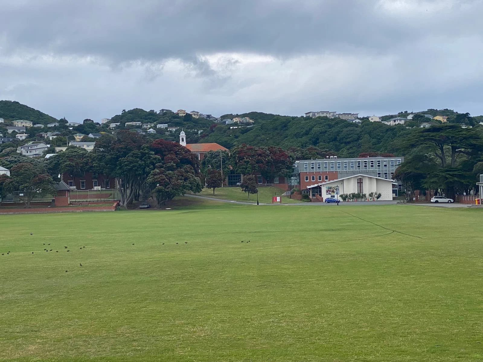 Scots College