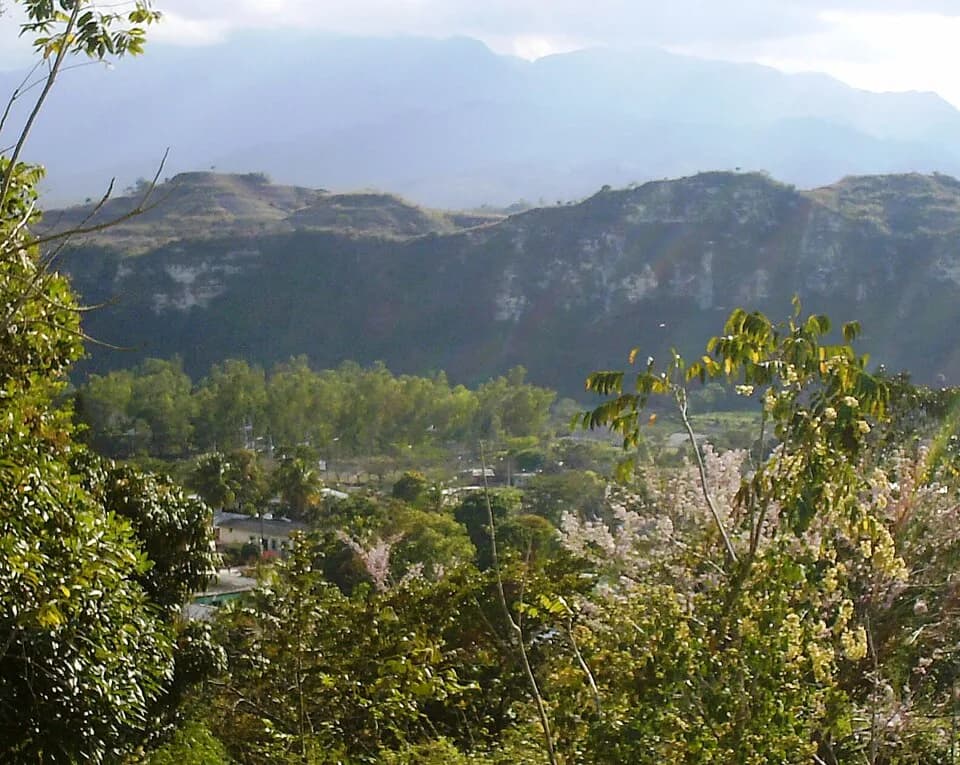 Lempira Department