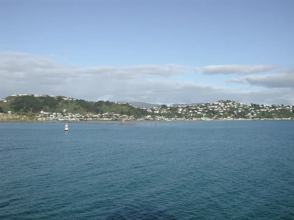 Seatoun