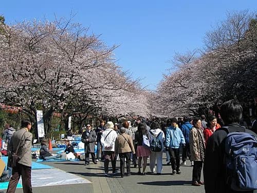Ueno Imperial Grant Park