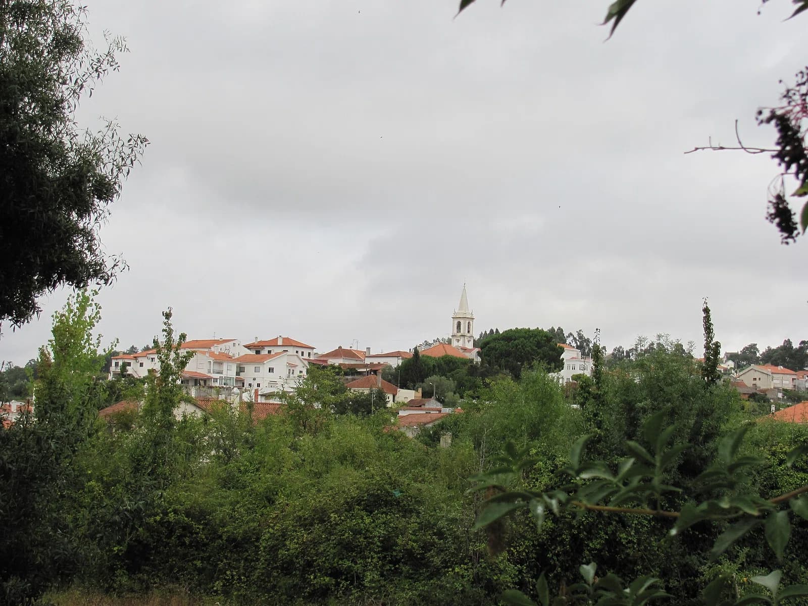 Cortes