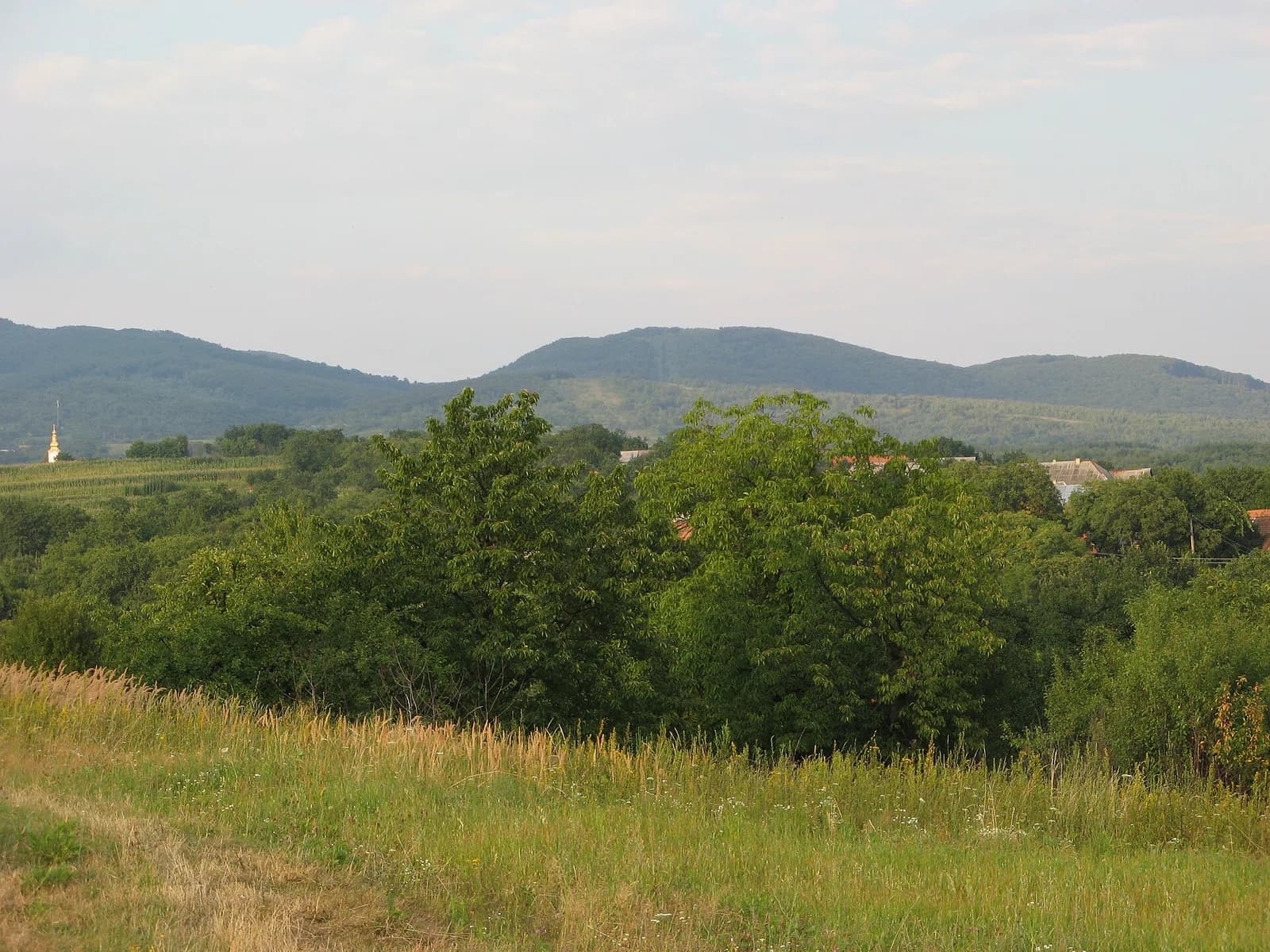 Patskan'ovo