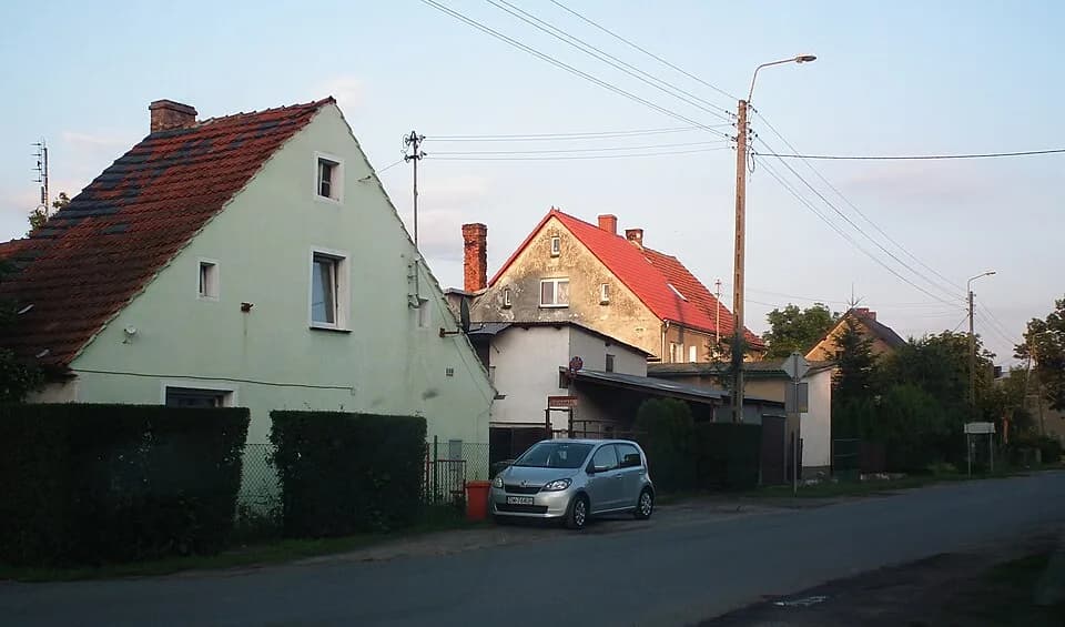 Sienice