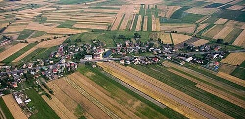 Sieniec