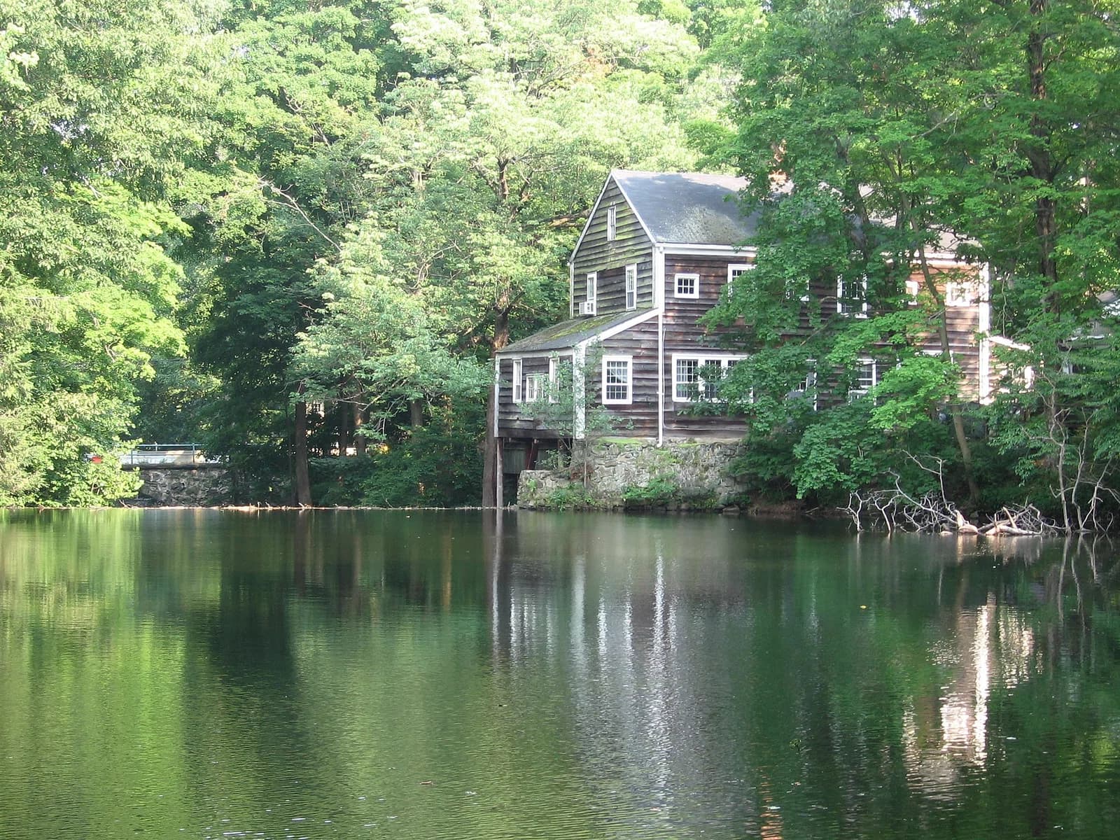 Silvermine