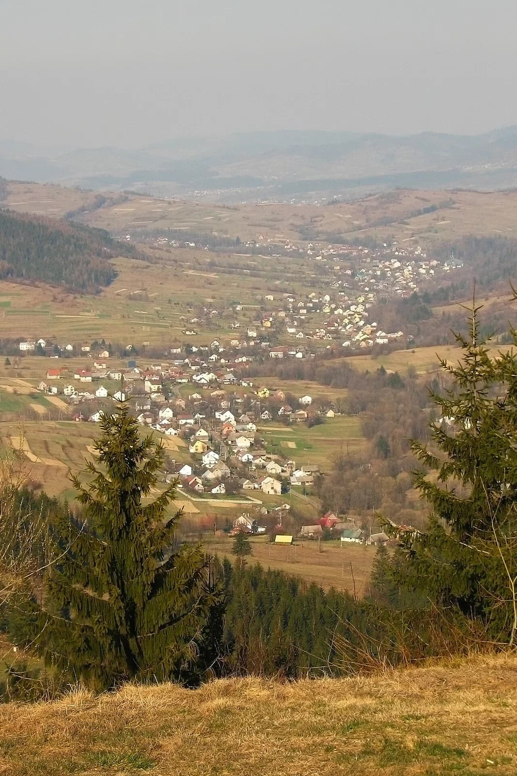 Kamesznica