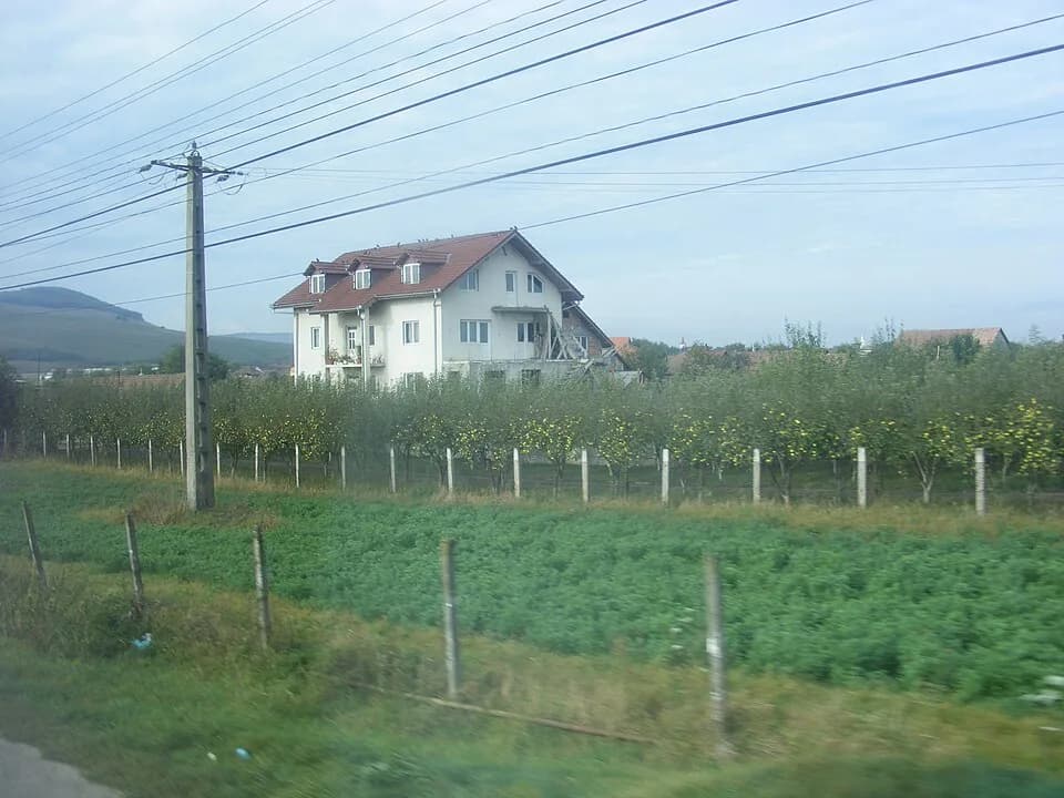 Oiejdea