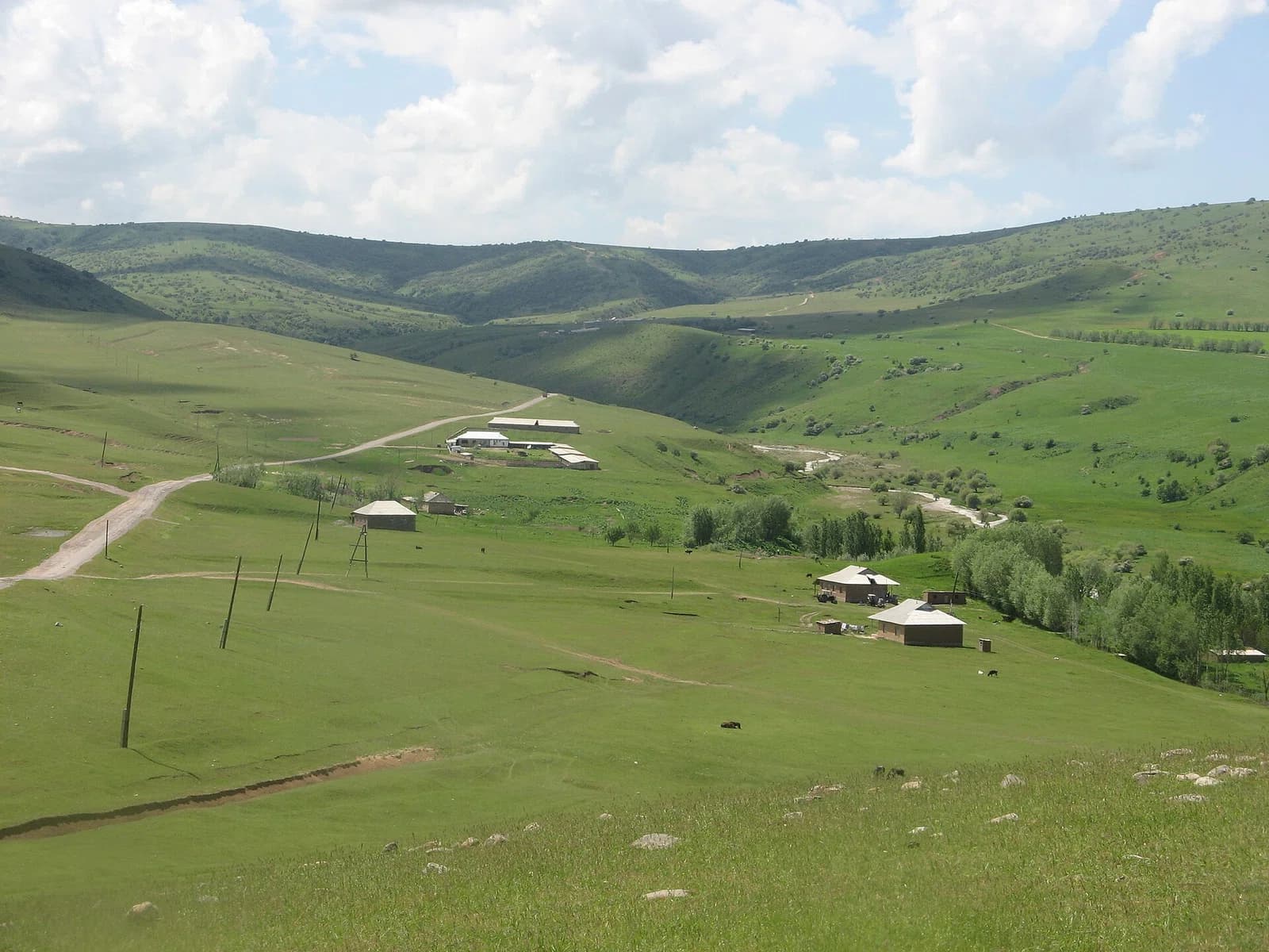 Tole Bi District
