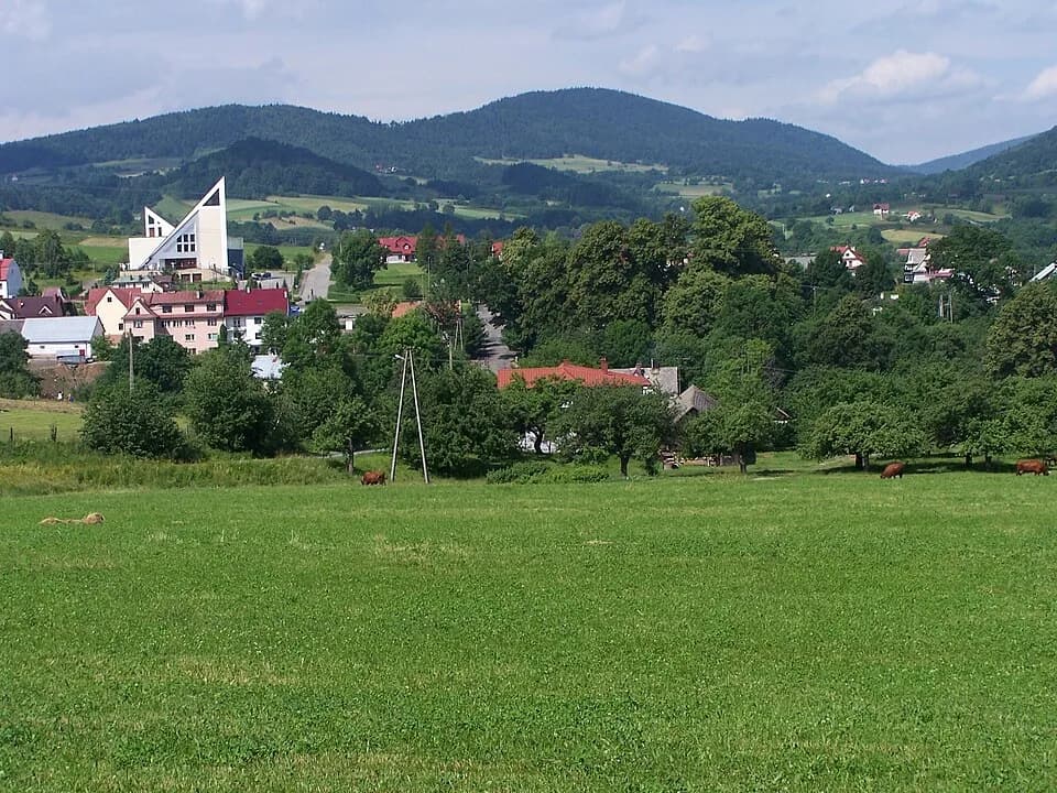 Skrzydlna