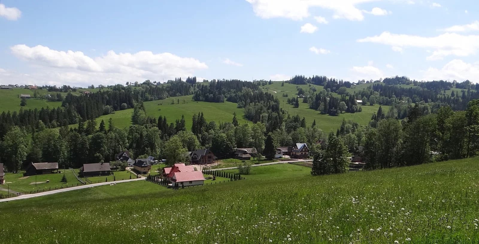 Skrzypne