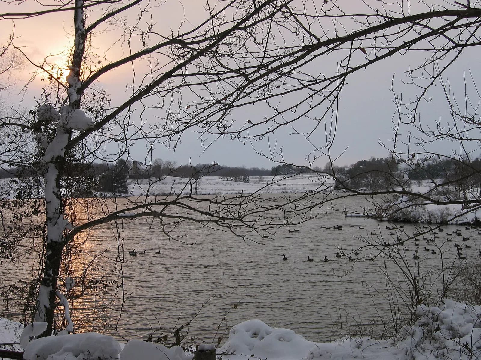 Laytonsville