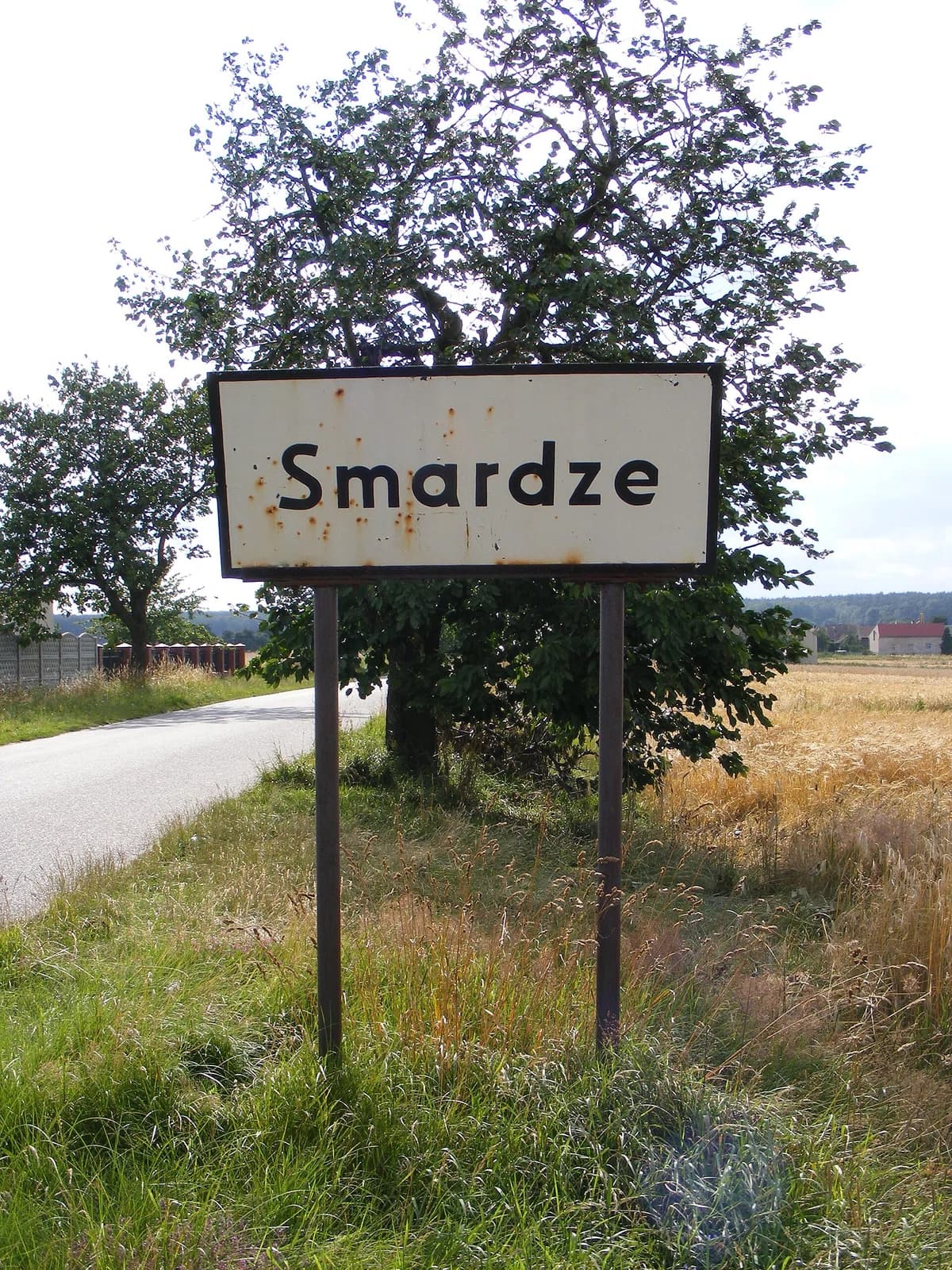 Smardze