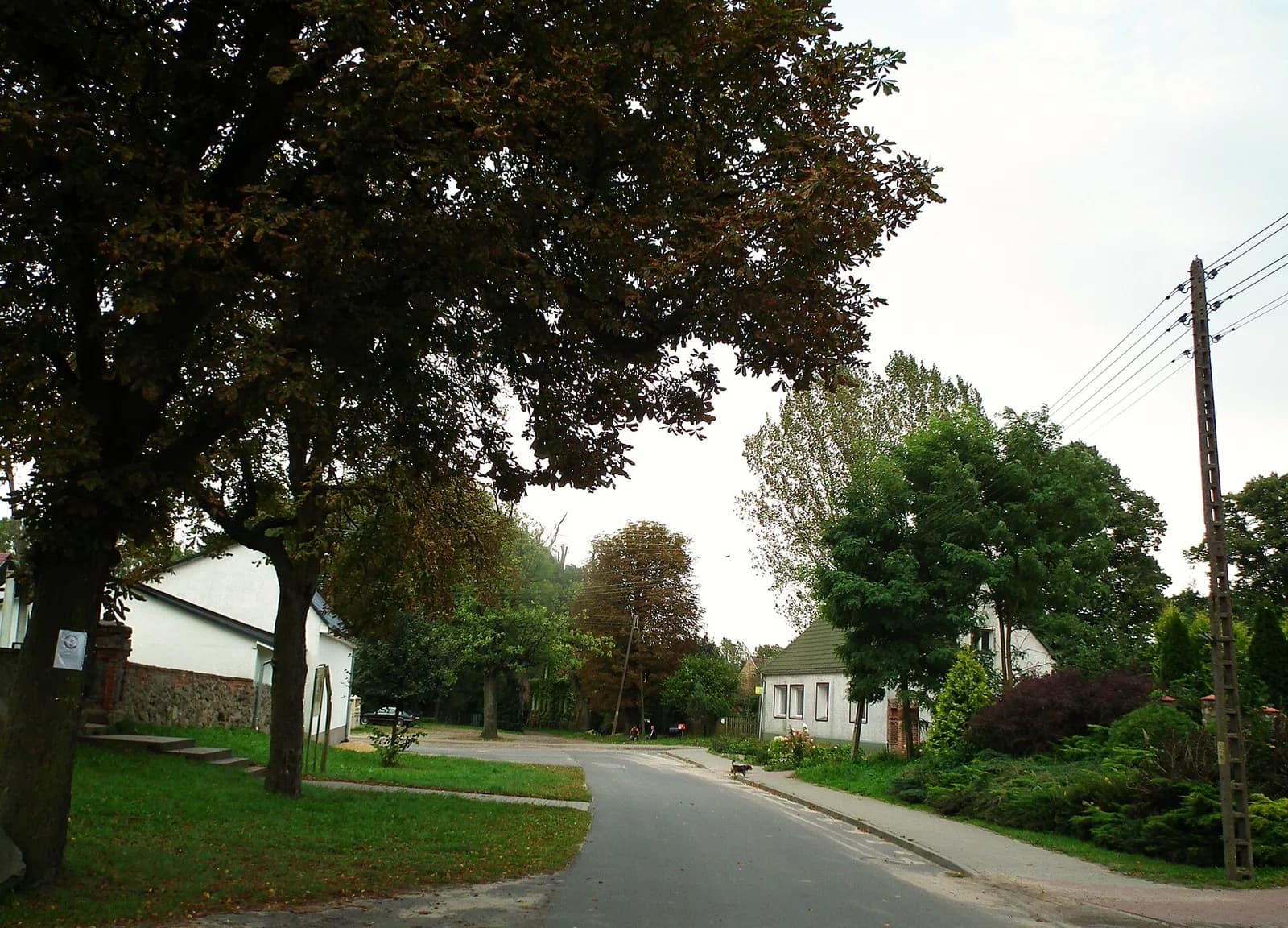 Smogóry