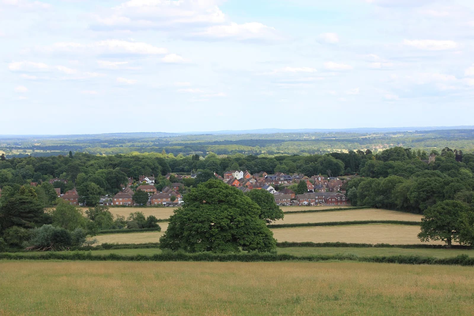 South Holmwood