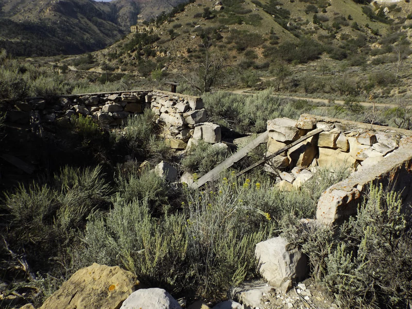 Spring Canyon