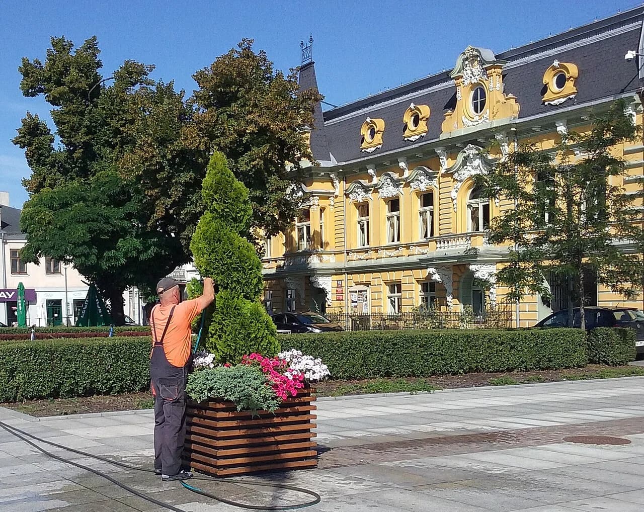 gardener