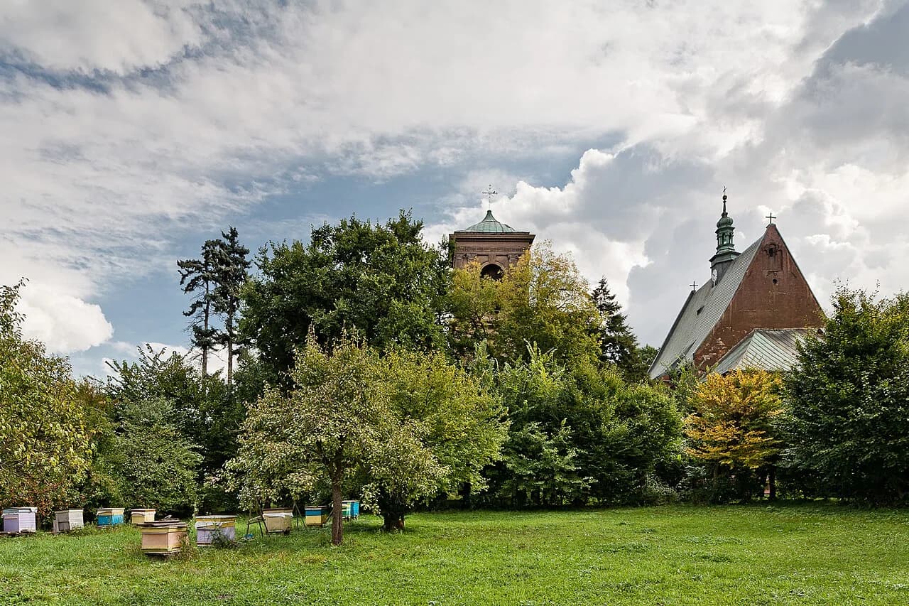 Staniątki