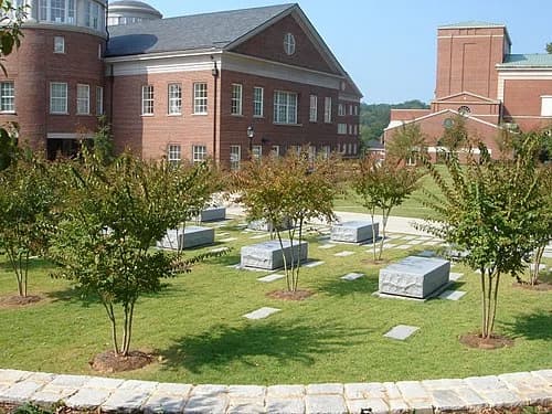 University of Georgia