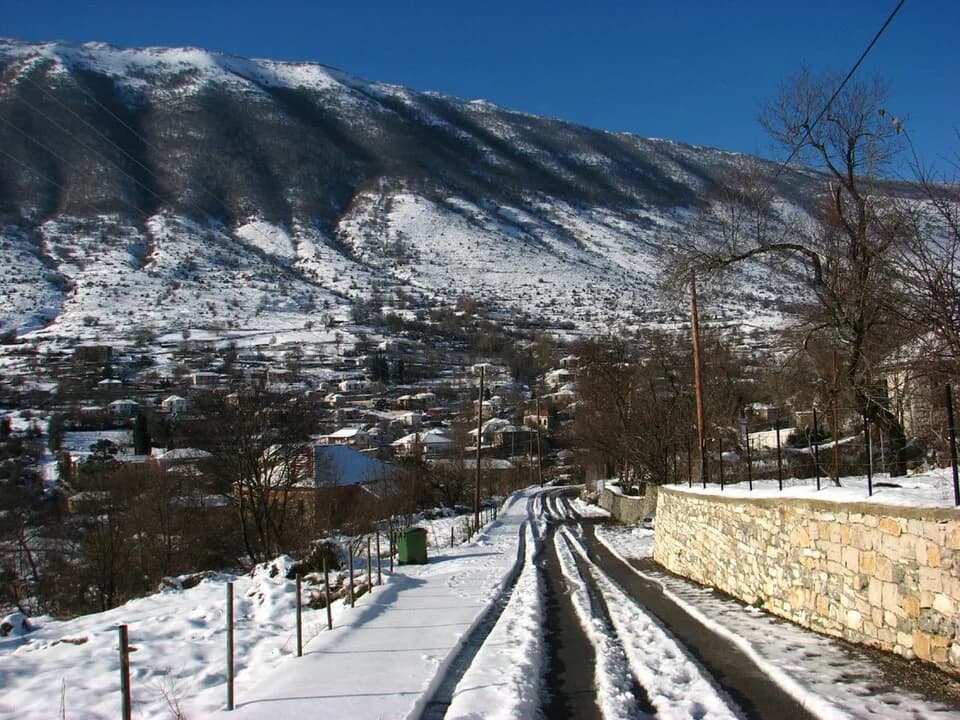 Pogoniani