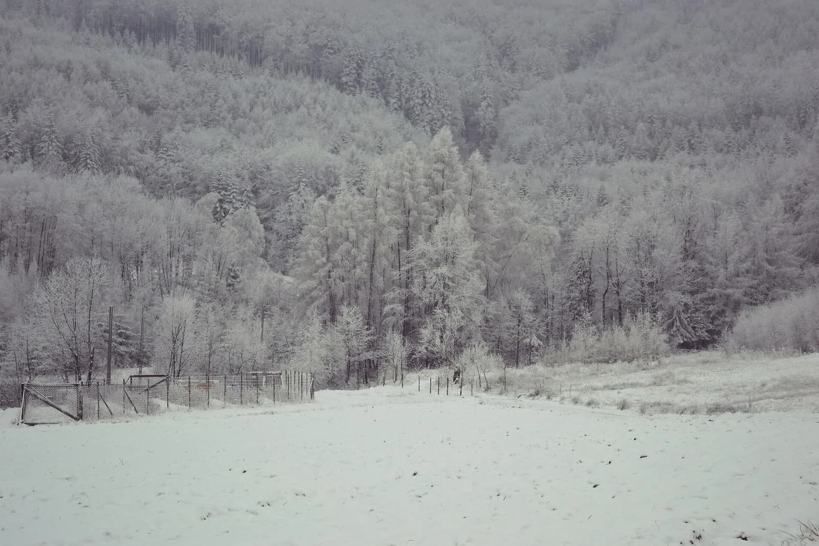 Strzeszyn, Lesser Poland Voivodeship