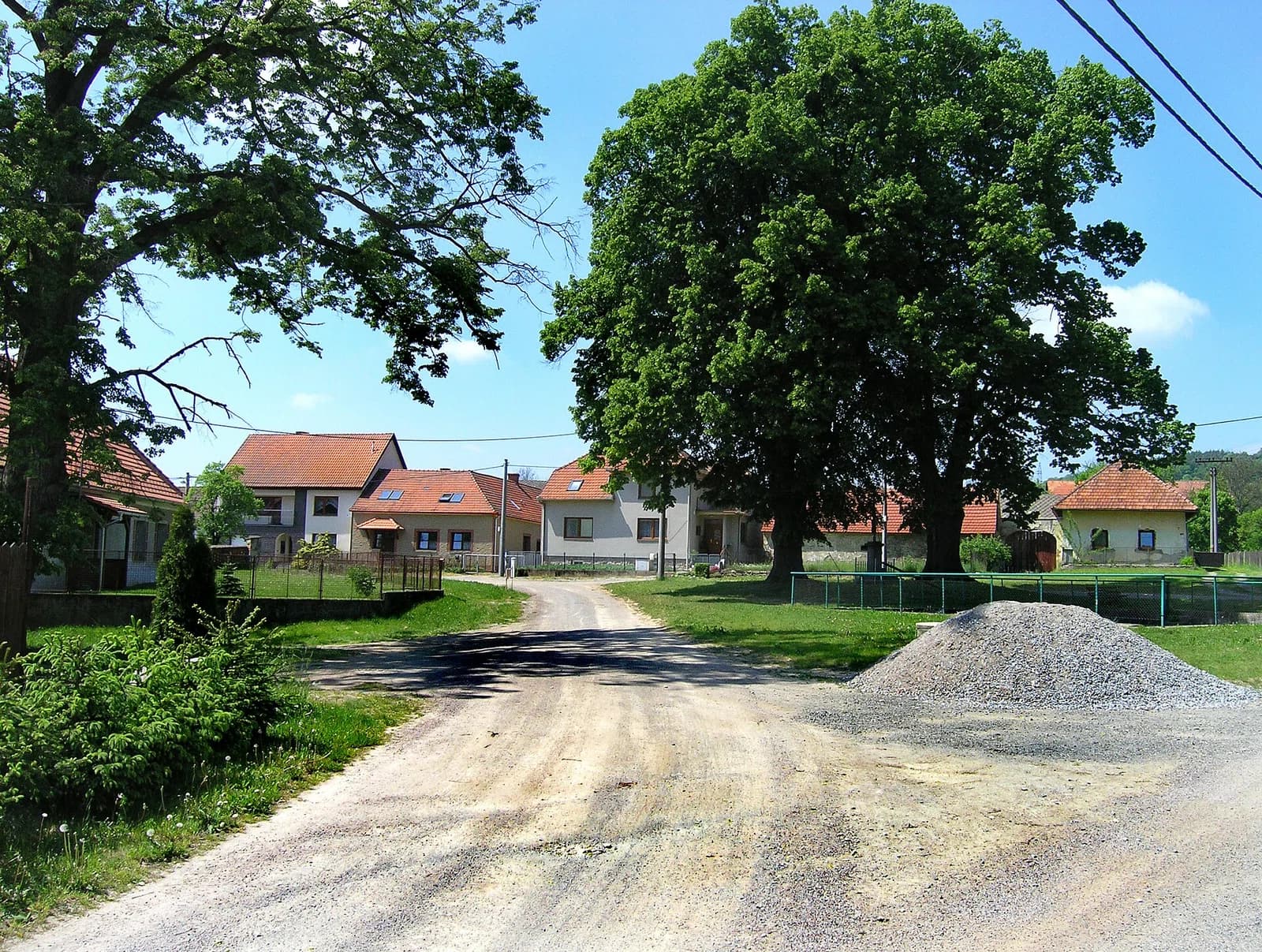 Střemchoví