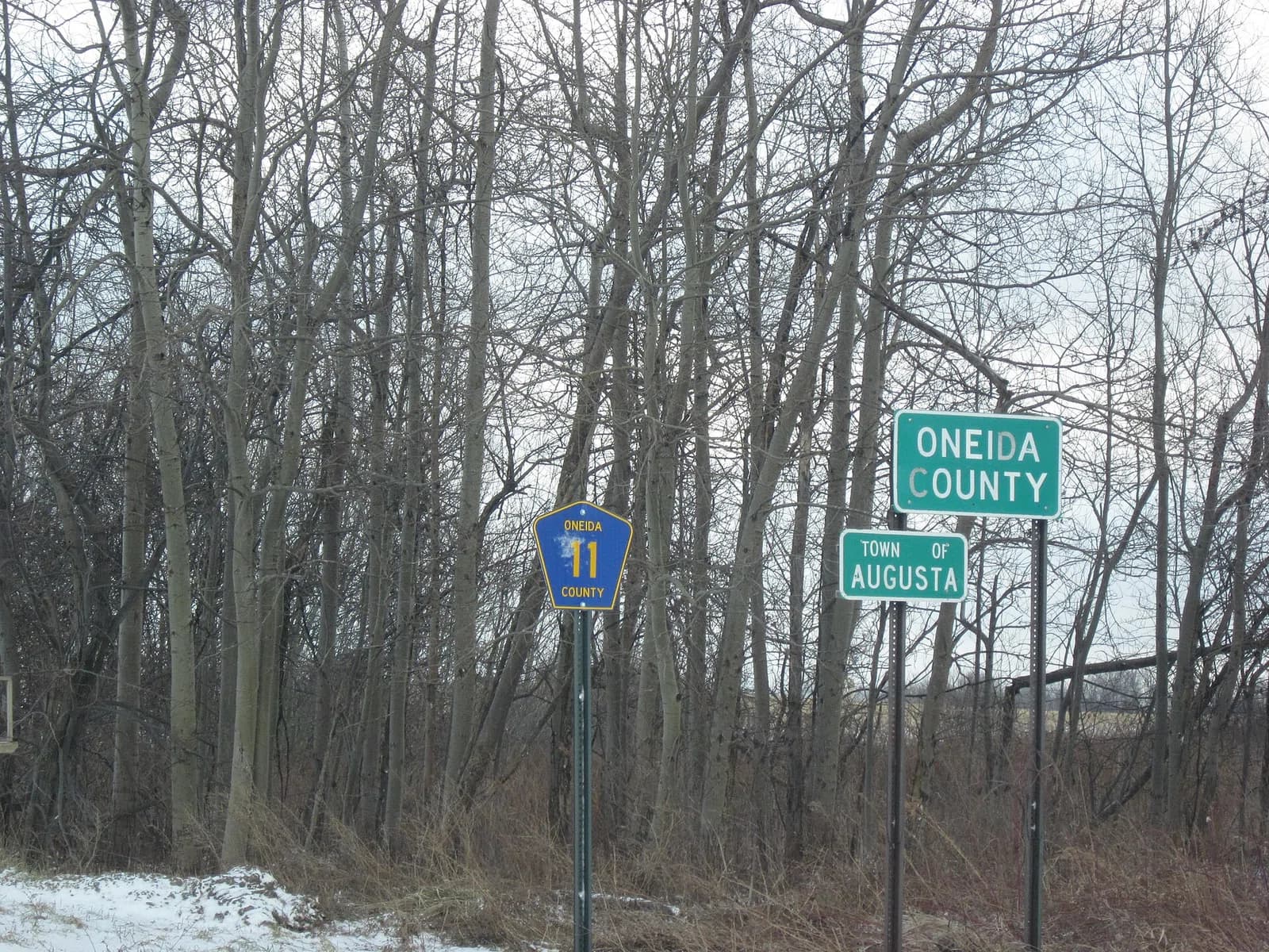 Augusta