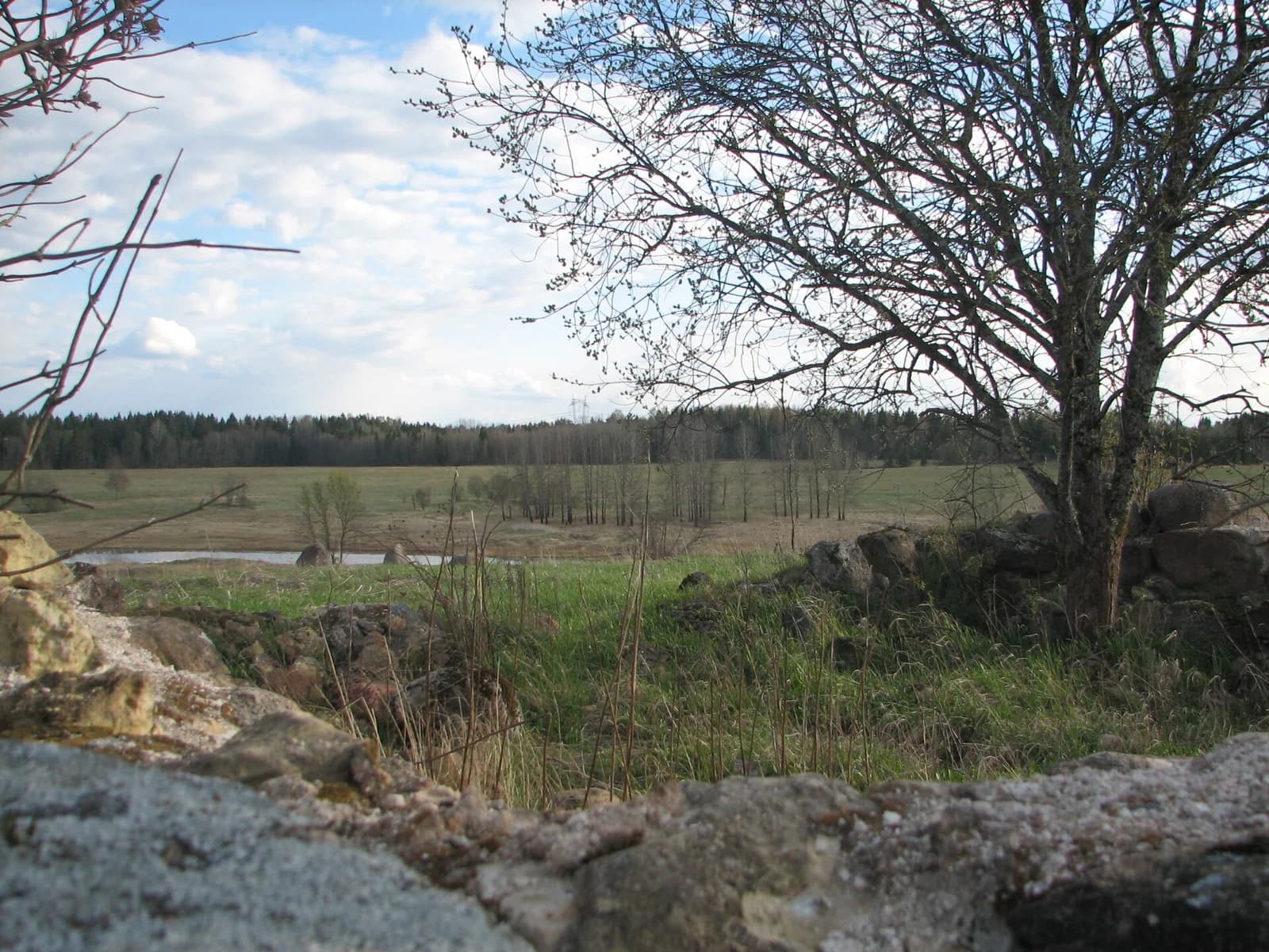 Wolossowski rajon