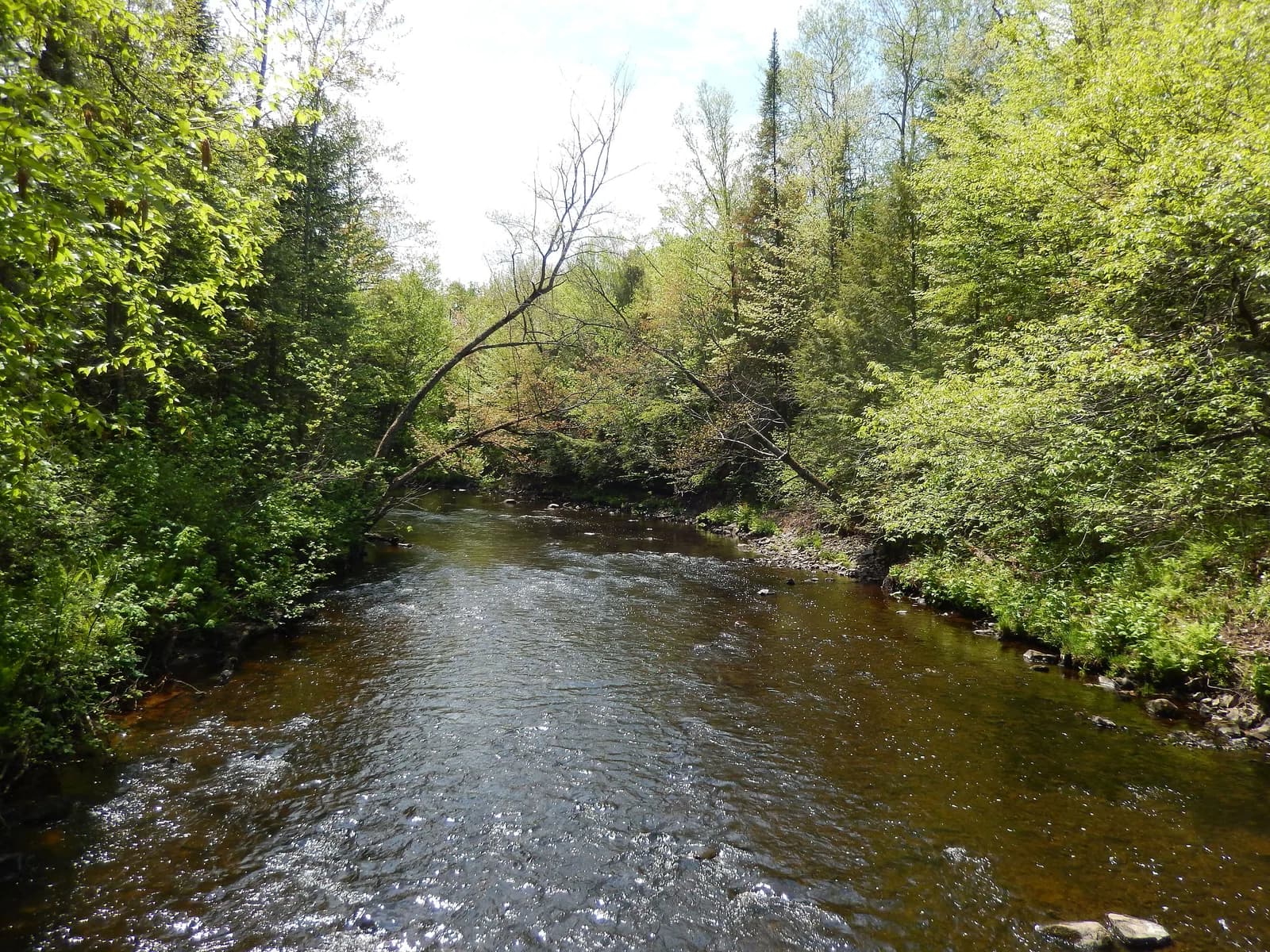 Plessisville