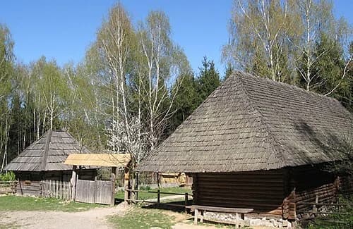 Liuta