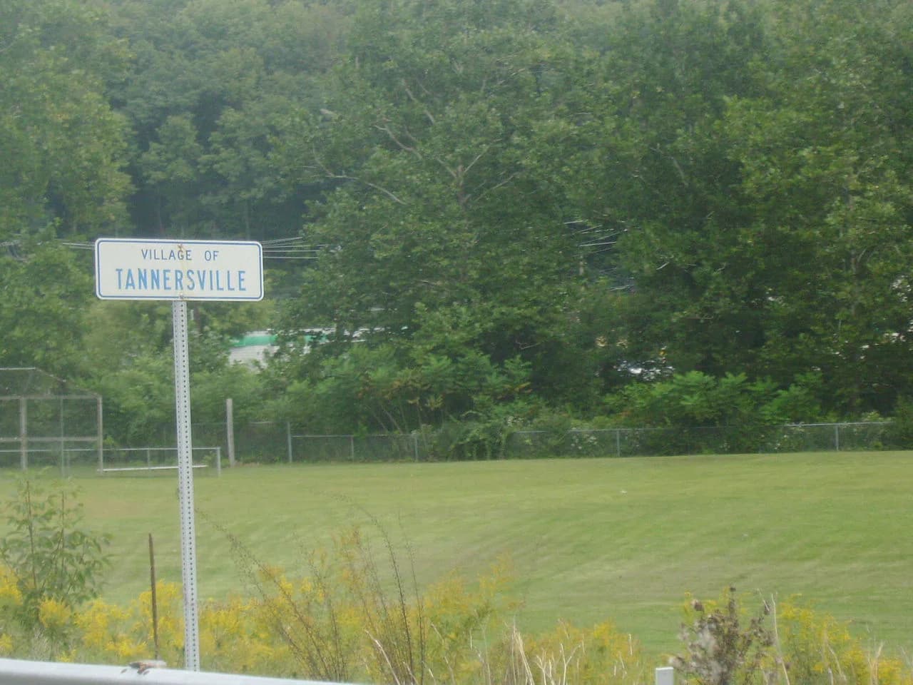 Tannersville