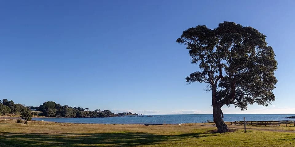 Te Kaha