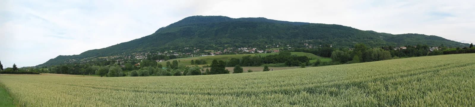 Saint-Cergues