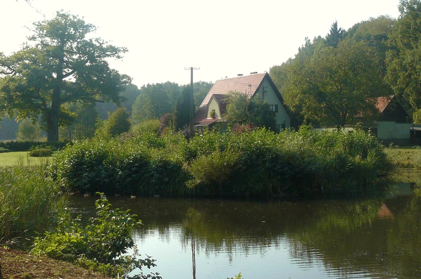 Terespotockie