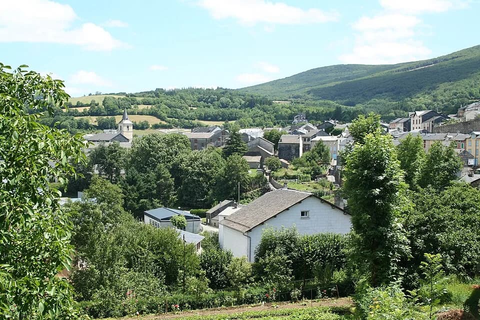 Viane