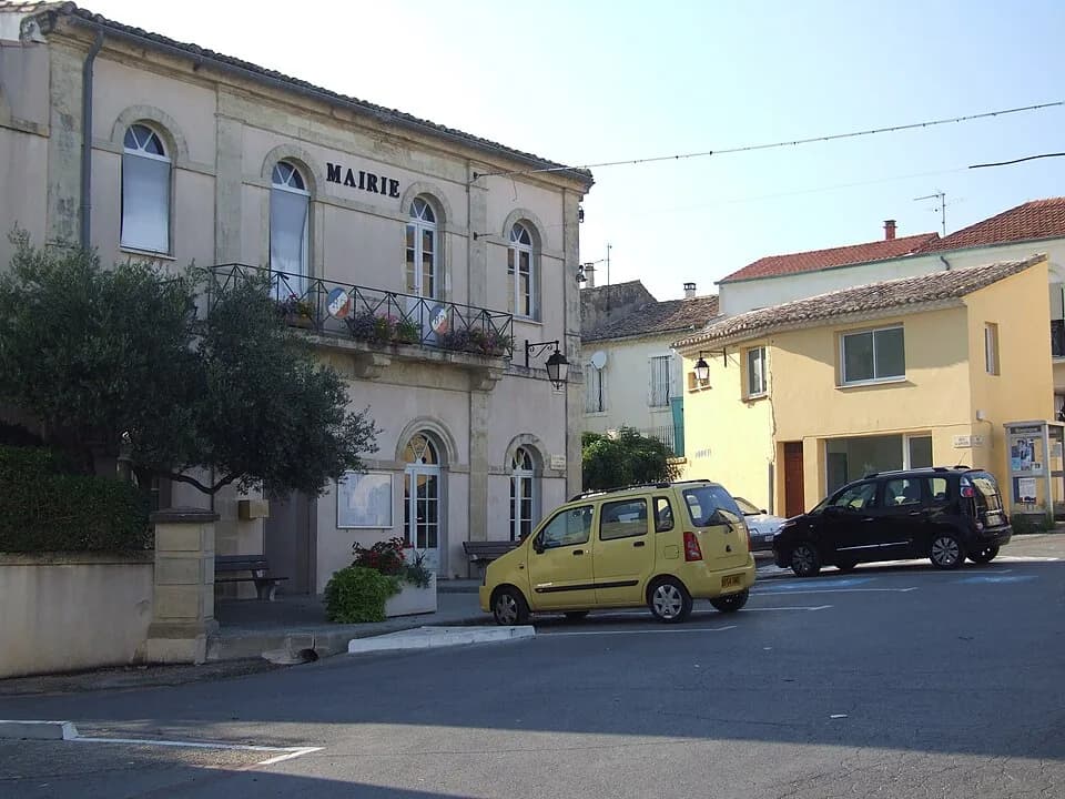 Mus