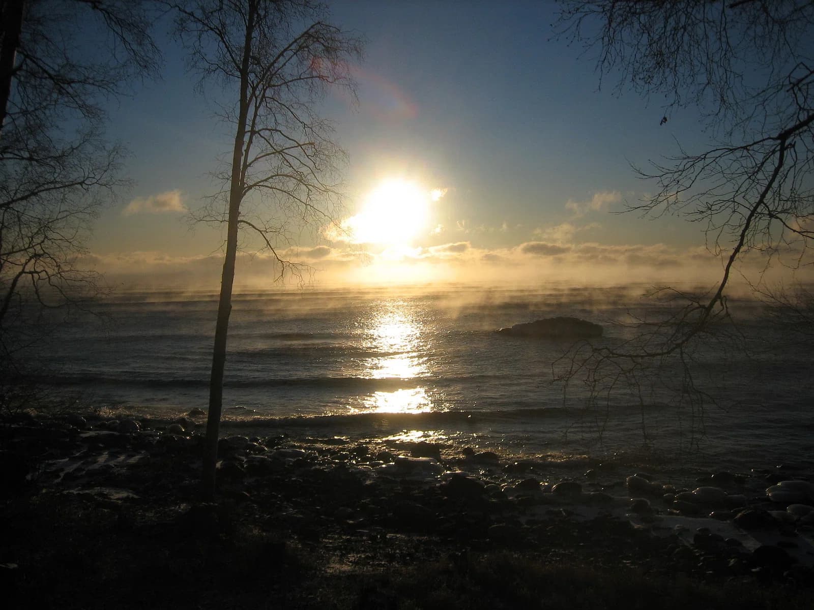 Tofte