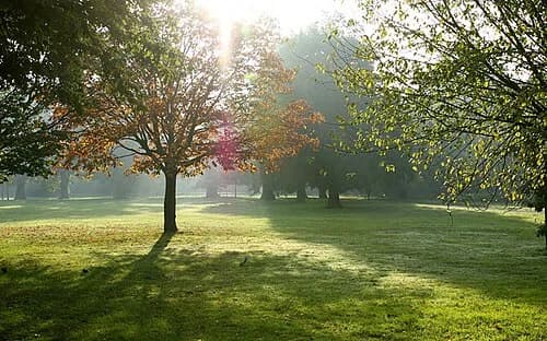 Tooting Commons