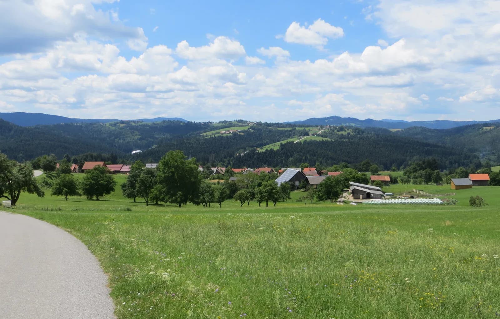 Velike Poljane