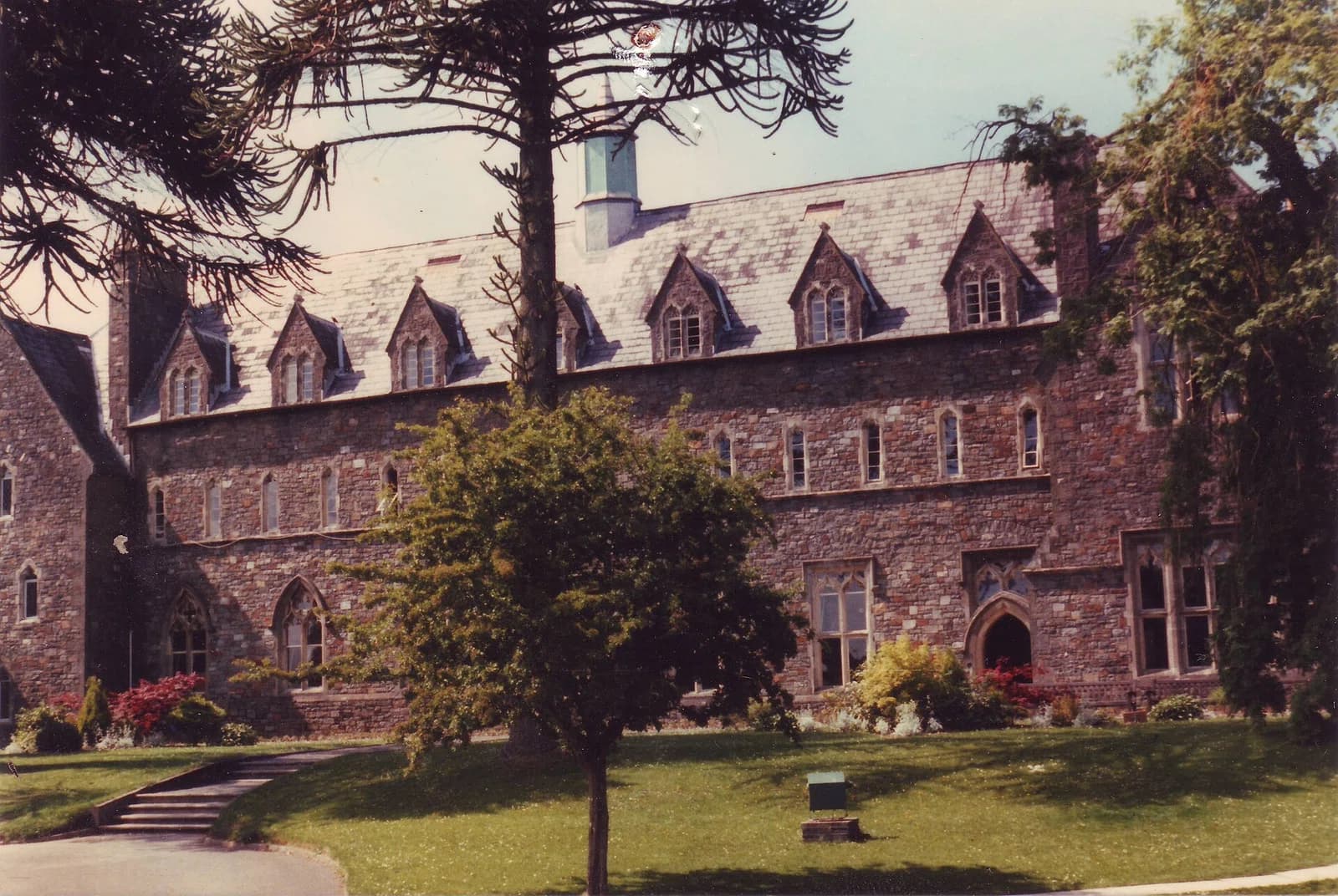 Trinity University College