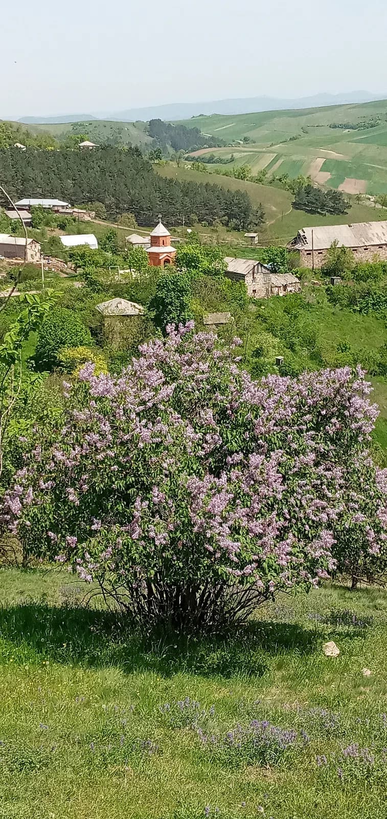Verin Karmiraghbyur
