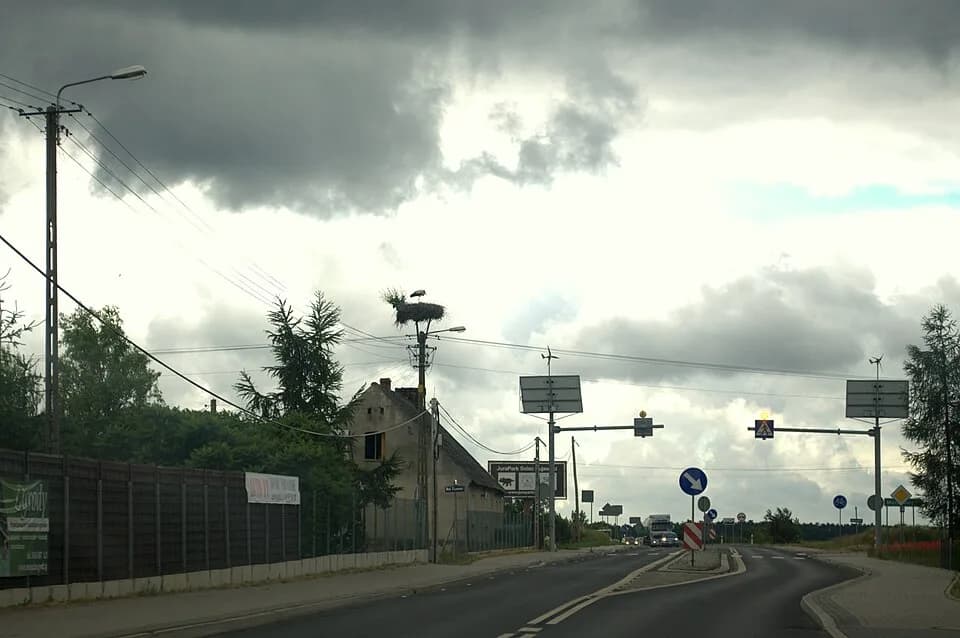 Tryszczyn