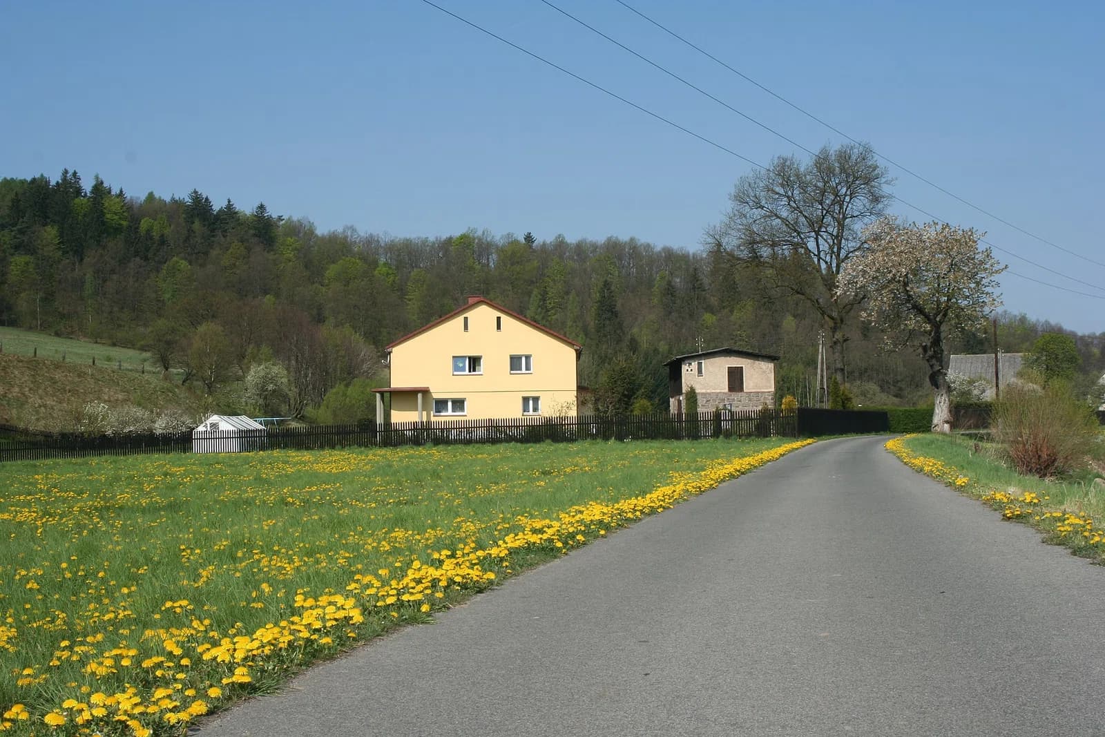 Trzcińsko