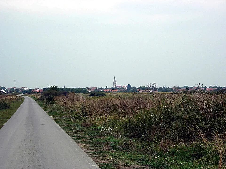 Jaša Tomić